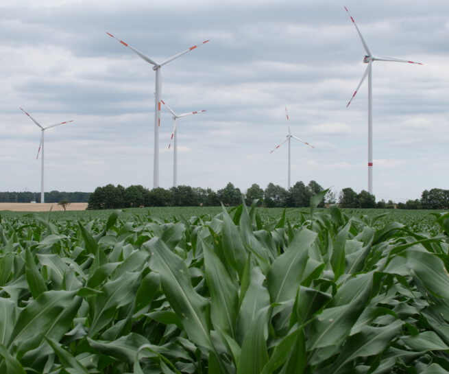Ölostrom aus Biogasanlagen